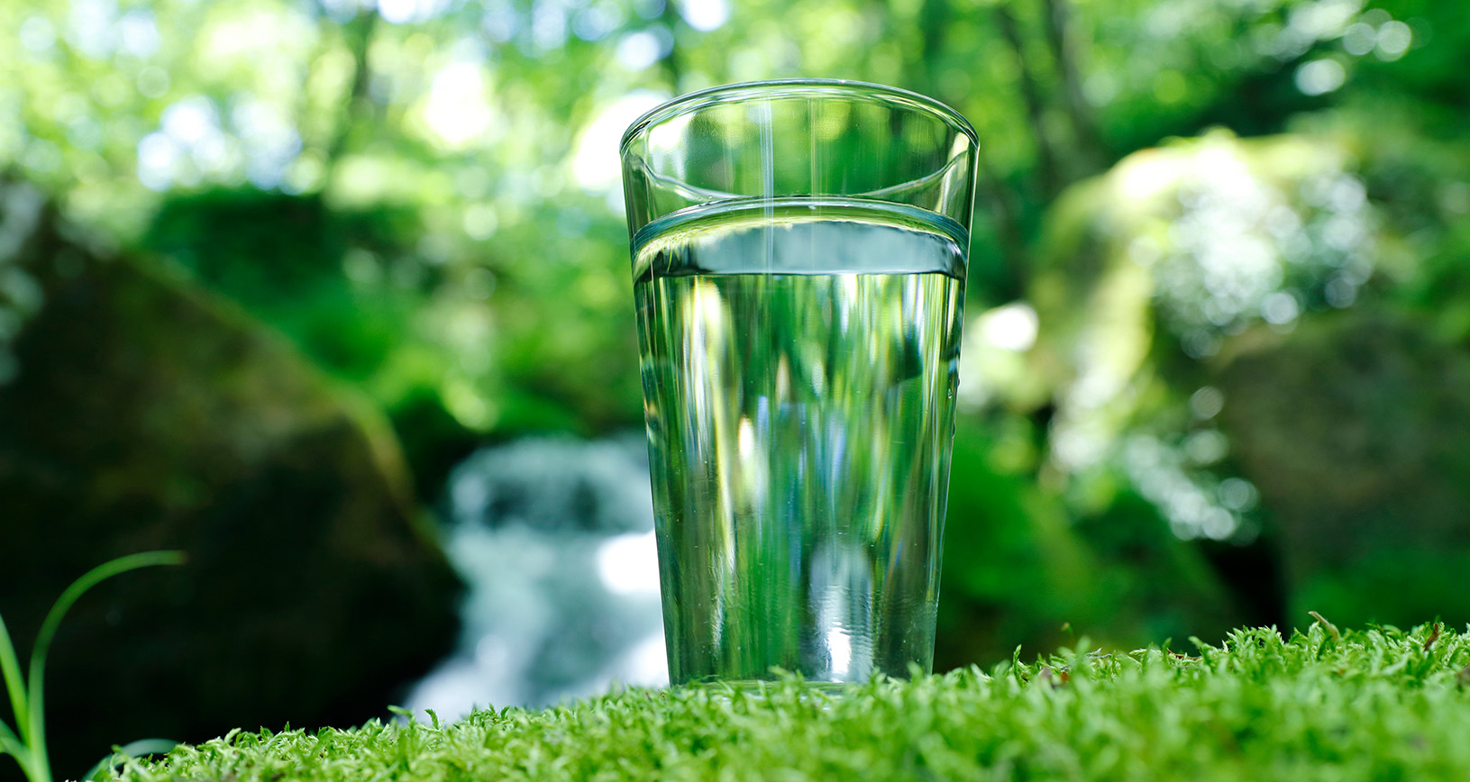 Kalkschutz ohne Salz und ohne Chemie