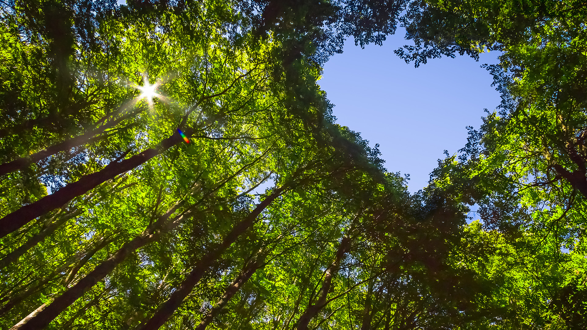 Nachhaltige Alternative zur Entkalkungsanlage