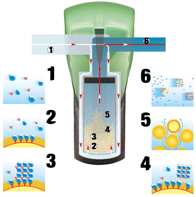 Nachhaltiger Kalkschutz mittels Biomineralisierung